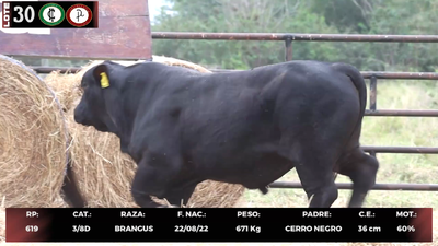 Lote LOTE 30