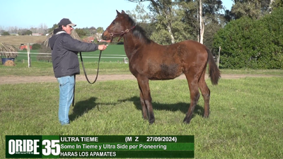 Lote Lote 35