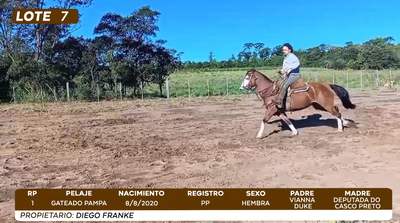 Lote LOTE 7- BOZAL
