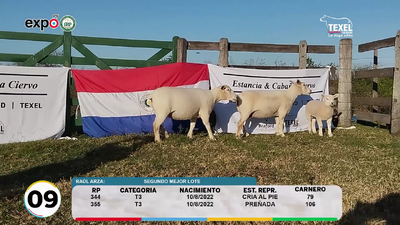 Lote LOTE 9