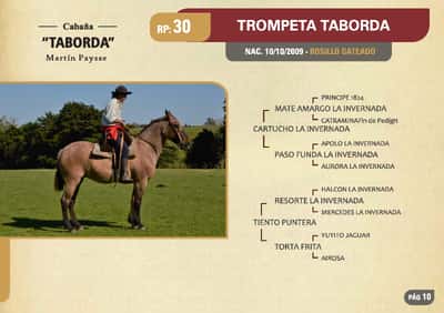 Lote RP. 30 - TROMPETA TABORDA - TABORDA