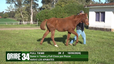 Lote Lote 34