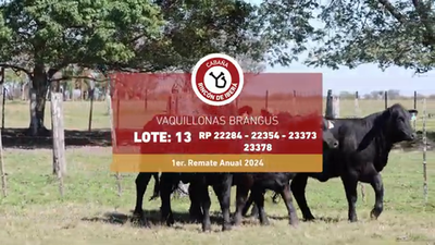 Lote RINCON IBERA 22354