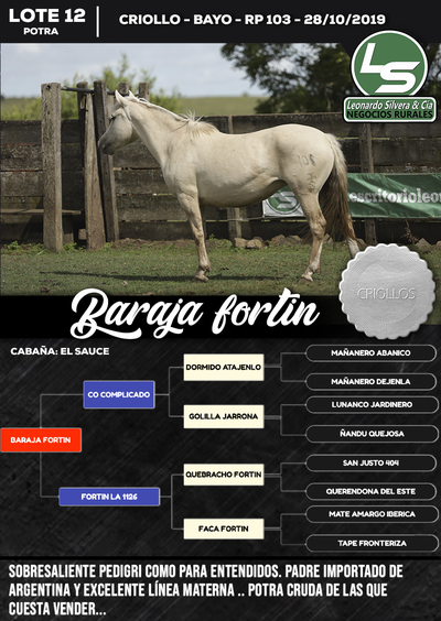 Lote BARAJA FORTIN