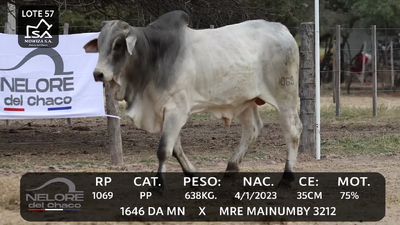 Lote LOTE 57