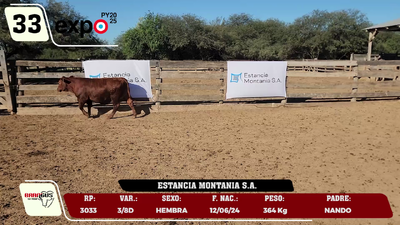 Lote LOTE 33