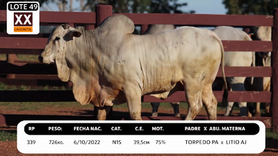 Lote LOTE 49