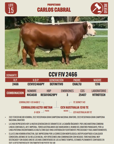 Lote LOTE 15