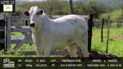Lote LOTE 12
