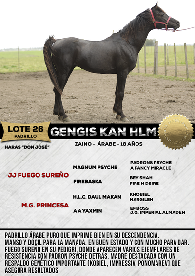 Lote GENGIS KAN HLM