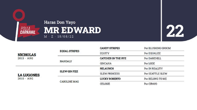 Lote MR EDWARD