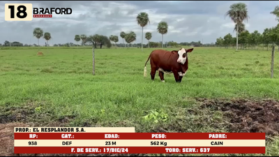 Lote LOTE 18