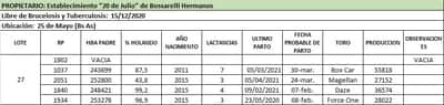 Lote Lote 27