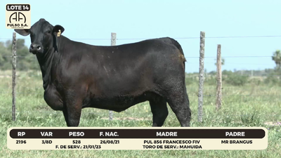 Lote LOTE 14