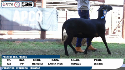 Lote LOTE 35