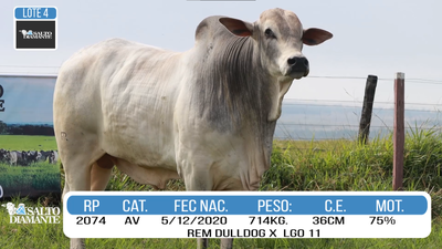 Lote LOTE 4