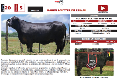Lote LOTE 20