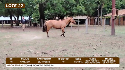 Lote LOTE 22- CAMPO
