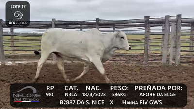 Lote LOTE 17