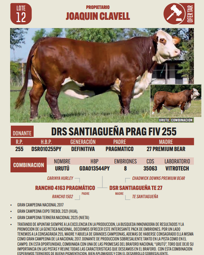 Lote LOTE 12