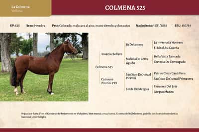Lote Colmena 525 (RP 525) - Cabaña "La Colmena"