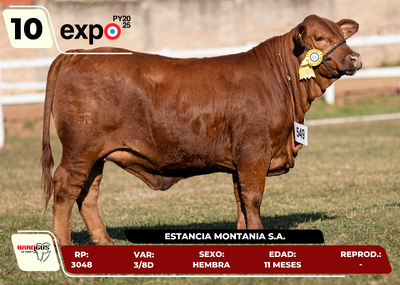 Lote LOTE 10