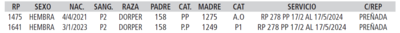 Lote LOTE 51