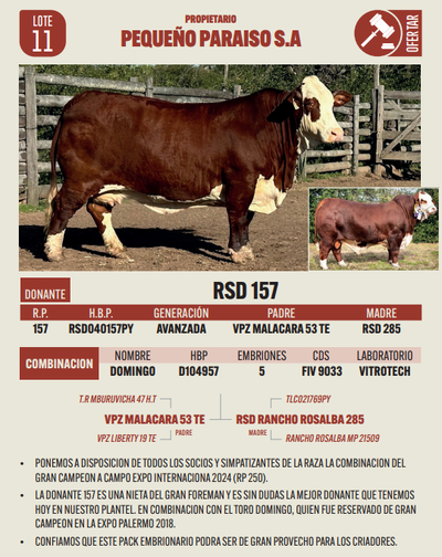 Lote LOTE 11
