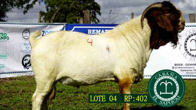 Lote RP 402