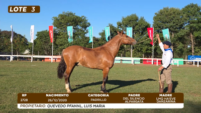 Lote LOTE 3