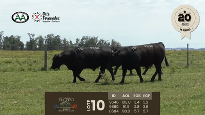 Lote 3 Toros, Artigas