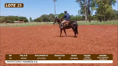Lote LOTE 25- CAMPO