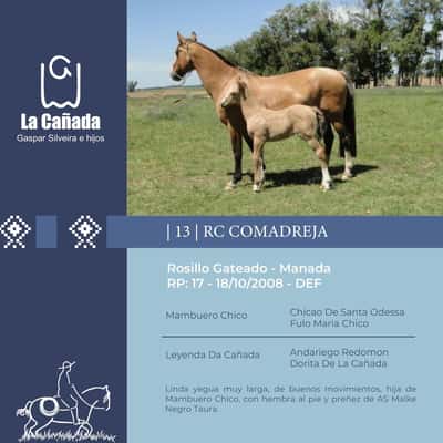 Lote RC Comadreja (RP 17) Cabaña "La Cañada"