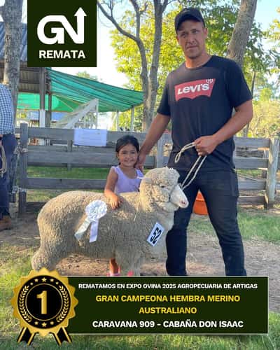 Lote DON ISAAC