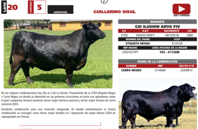 Lote LOTE 20