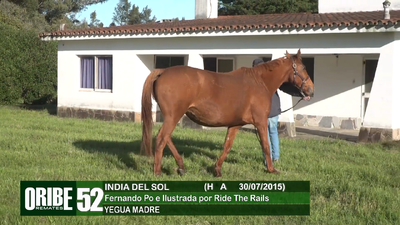 Lote Lote 52