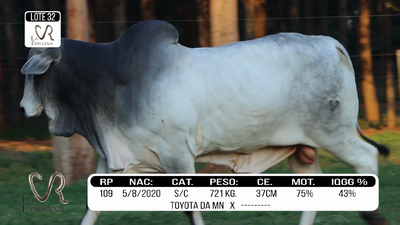 Lote LOTE 32