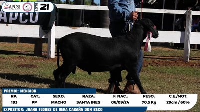 Lote LOTE 21