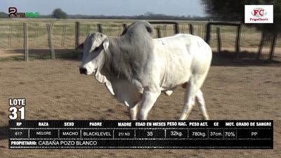 Lote CABAÑA POZO BLANCO