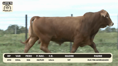 Lote LOTE 70