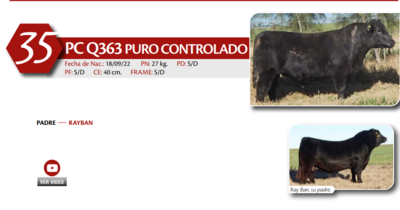 Lote MACHO PC