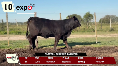 Lote LOTE 10