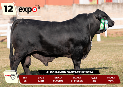Lote LOTE 12
