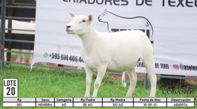 Lote LOTE 20