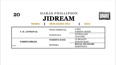 Lote JIDREAM