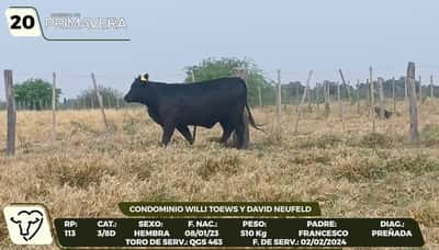 Lote LOTE 20- CAMPO