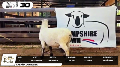Lote LOTE 30- CAMPO