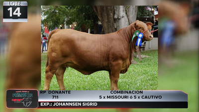Lote LOTE 14