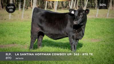 Lote LA SANTINA HOFFMAN COWBOY UP- 16 - 870 TE