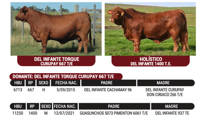 Lote "CABAÑA EL CORAJE" - EL CORAJE
